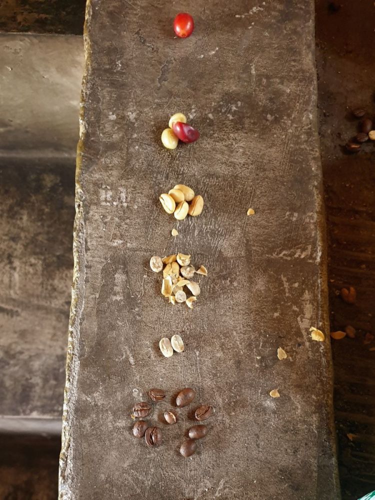 Kaffeeprozess von der Kirsche zur Röstung