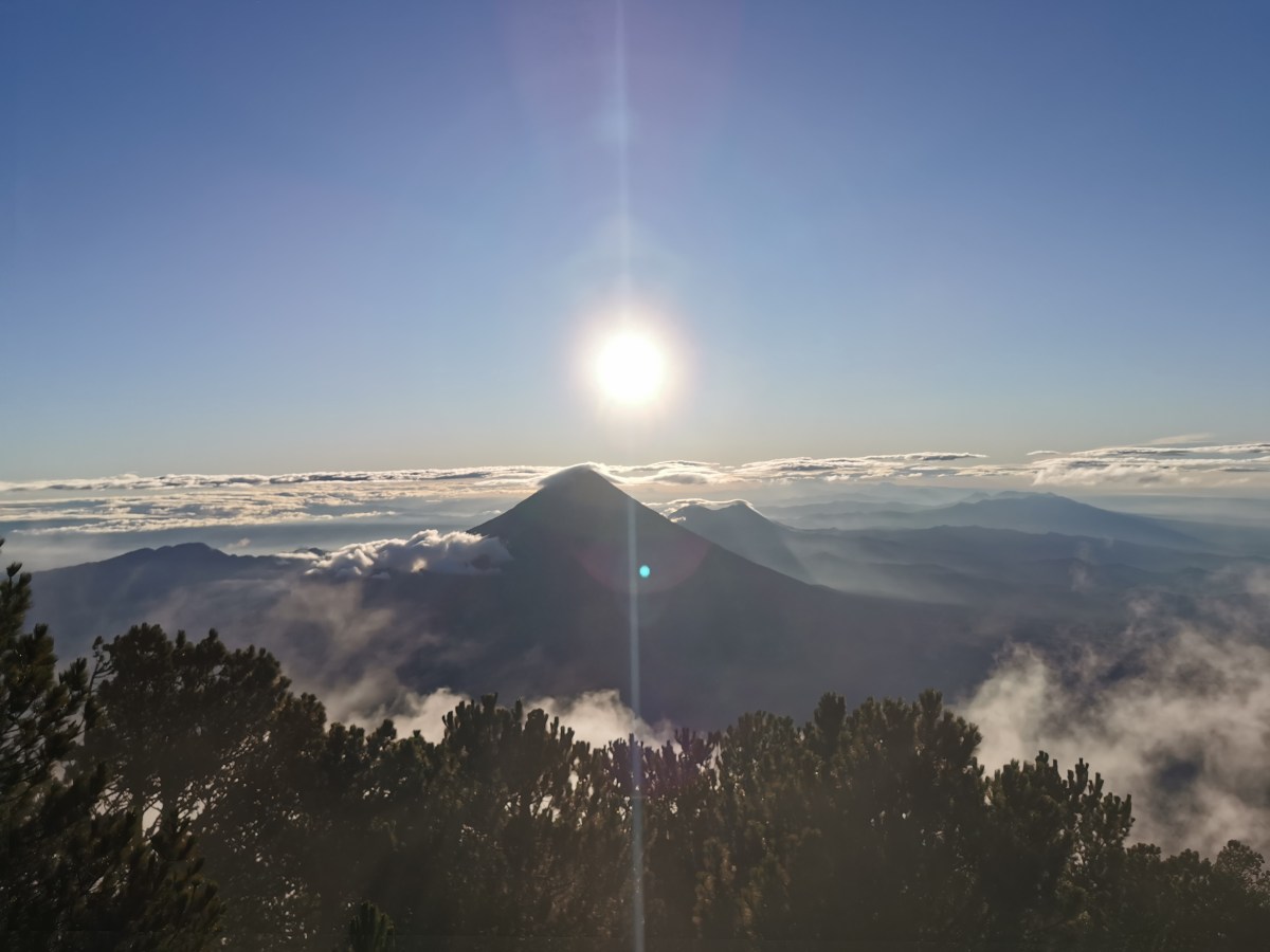 Warum nur Bildung in den Anbauländern die Zukunft der Kaffeeproduktion sichern&nbsp;kann