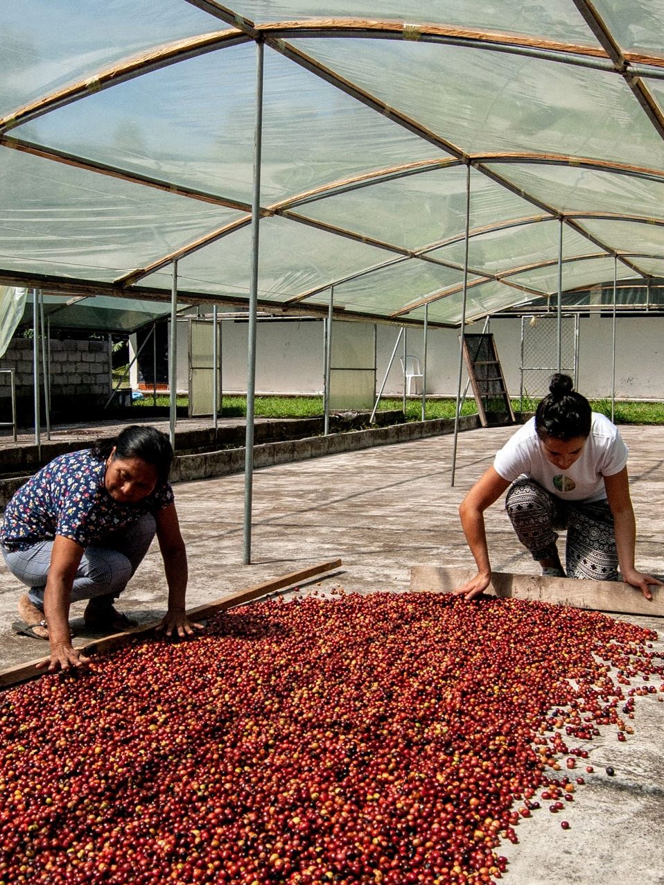Gio von Giovanna Kaffee bei der Frauenkooperative Chakra Warmi in Ecuador